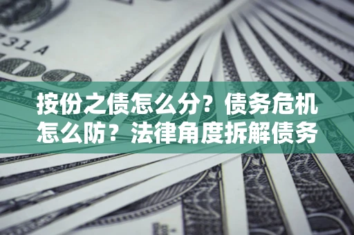 北京按份之债怎么分？债务危机怎么防？法律角度拆解债务分配与风险自保指南
