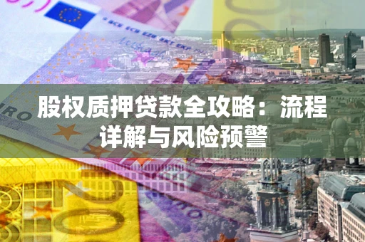 北京股权质押贷款全攻略：流程详解与风险预警