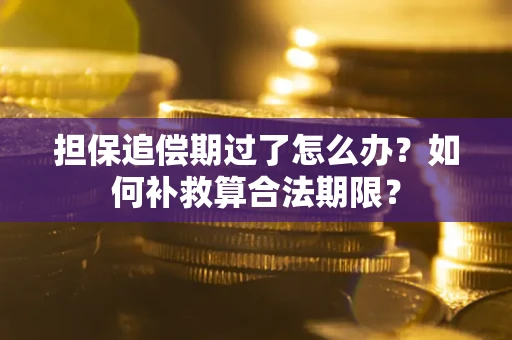 北京担保追偿期过了怎么办？如何补救算合法期限？