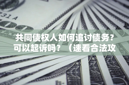 北京共同债权人如何追讨债务？可以起诉吗？（速看合法攻略）