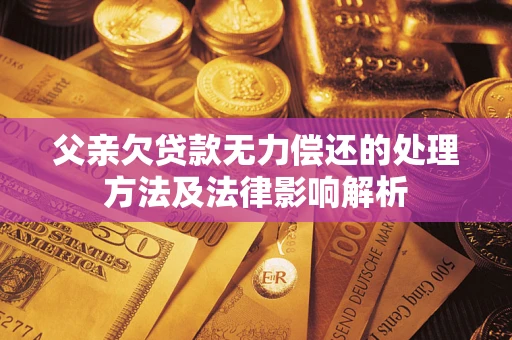 北京父亲欠贷款无力偿还的处理方法及法律影响解析